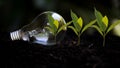 Saving energy and environment.ÃÂ  Tree growth in light bulb for saving Ecology energy nature